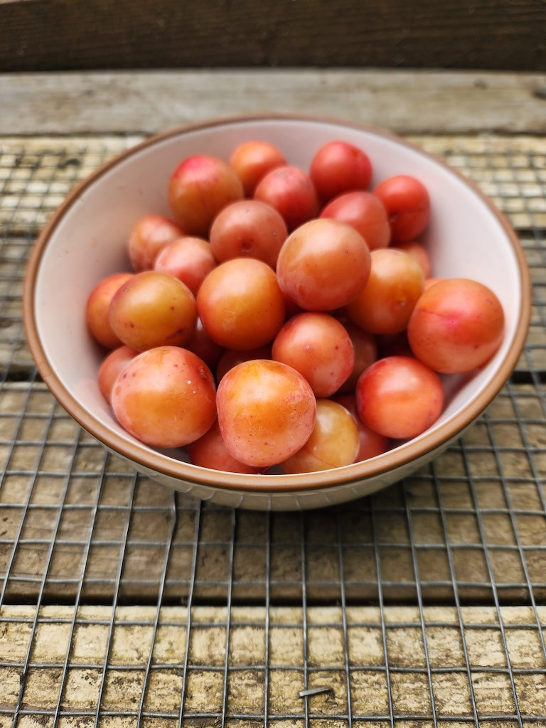ciruelas, cerezas
