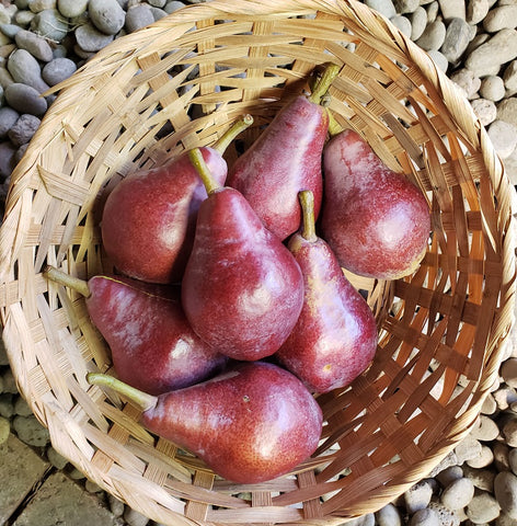 Pears, Red--CONSIGNMENT