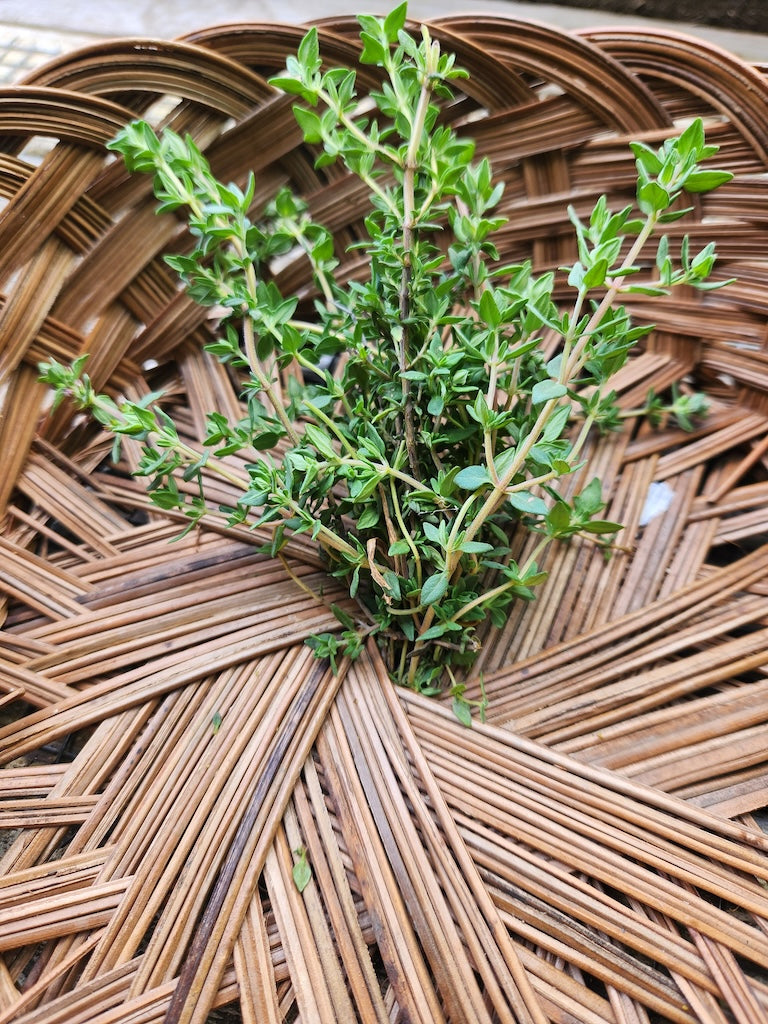 Herbs, Thyme