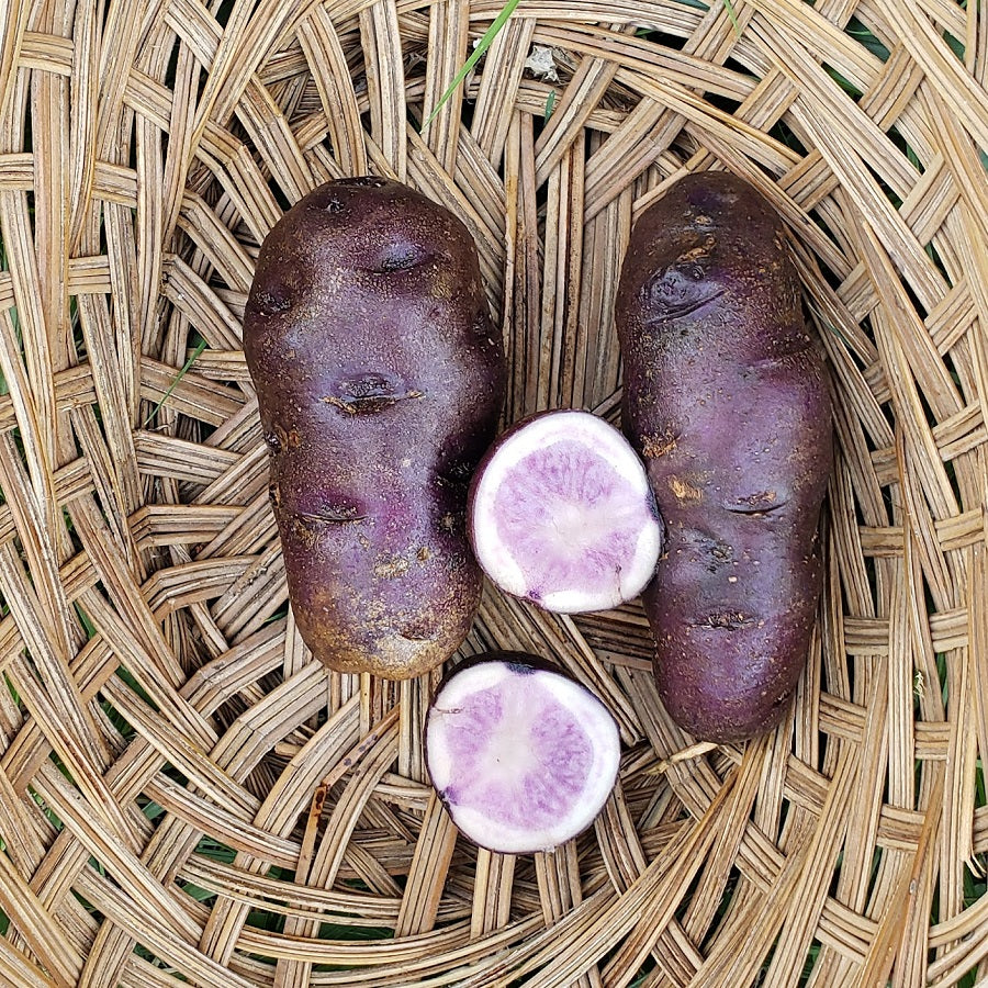 Potatoes, All Blue