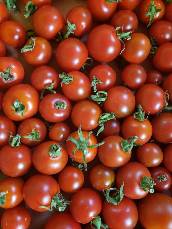 tomates, cereza roja