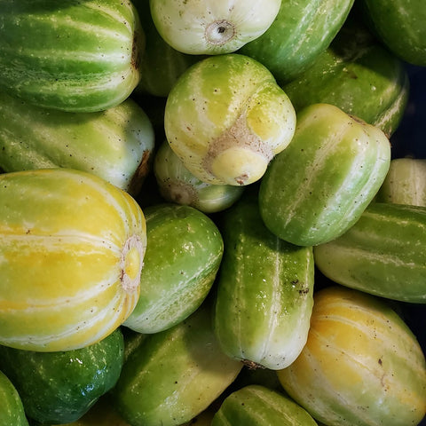 Cucumbers, Green Apple (round)
