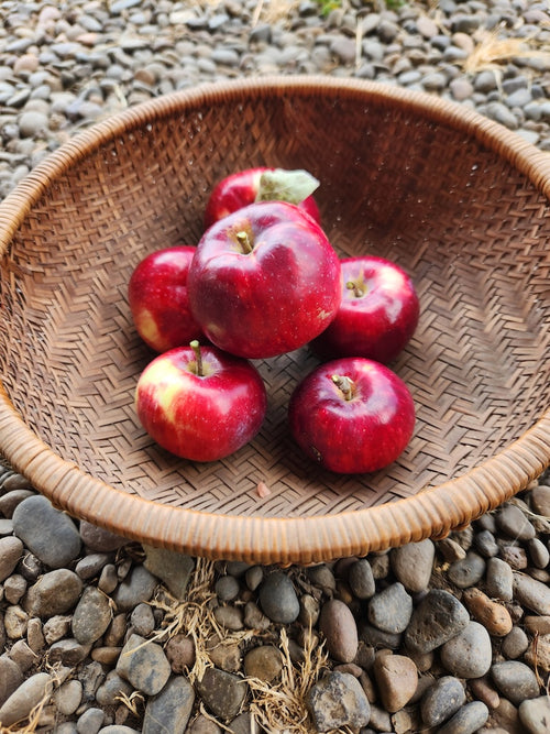 Apples, Heirloom Mix