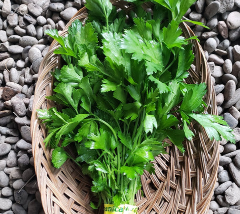 Herbs, Flat Leaf Parsley