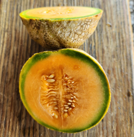 Melons, Mini Musk