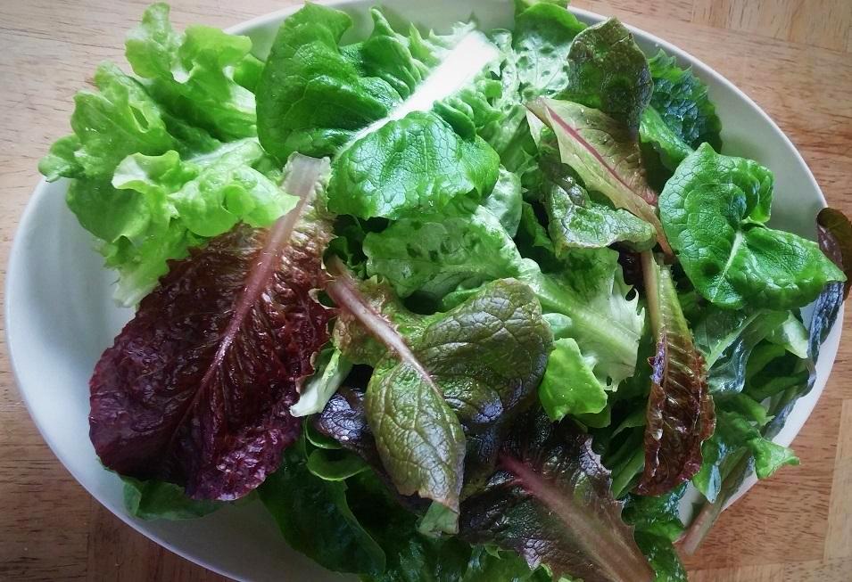 Verdes, Lechugas Mixtas