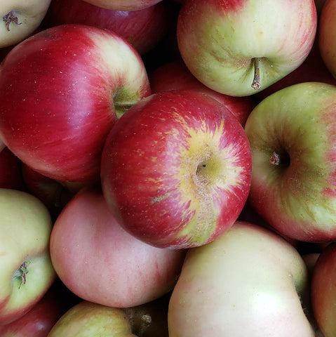 Apples,  Akane--Consignment