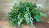 Herbs, Flat Leaf Parsley