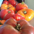 Tomatoes,  Heirloom Mix