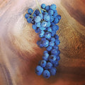 X-C&P Black Table Grapes