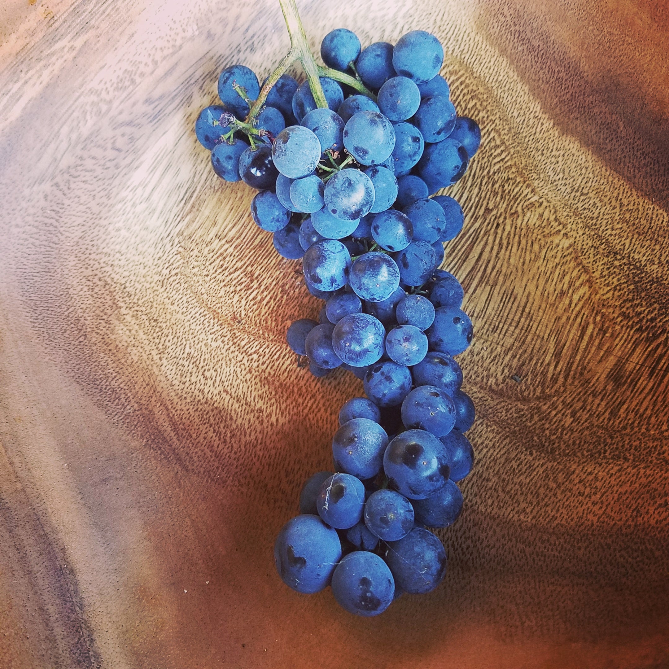 X-C&P Black Table Grapes