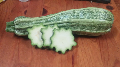 Summer Squash, Costata Romanesca