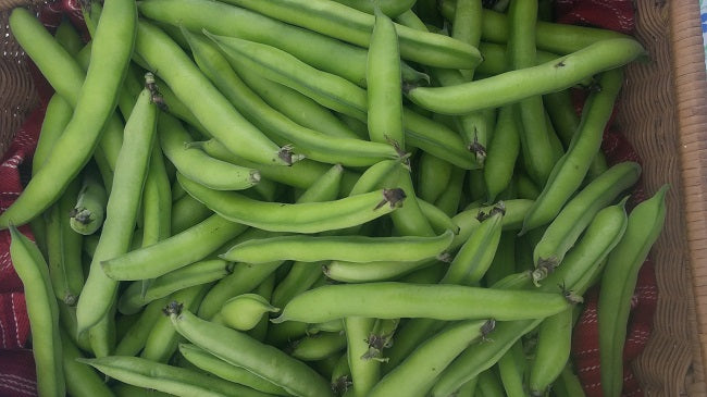 frijoles, habas