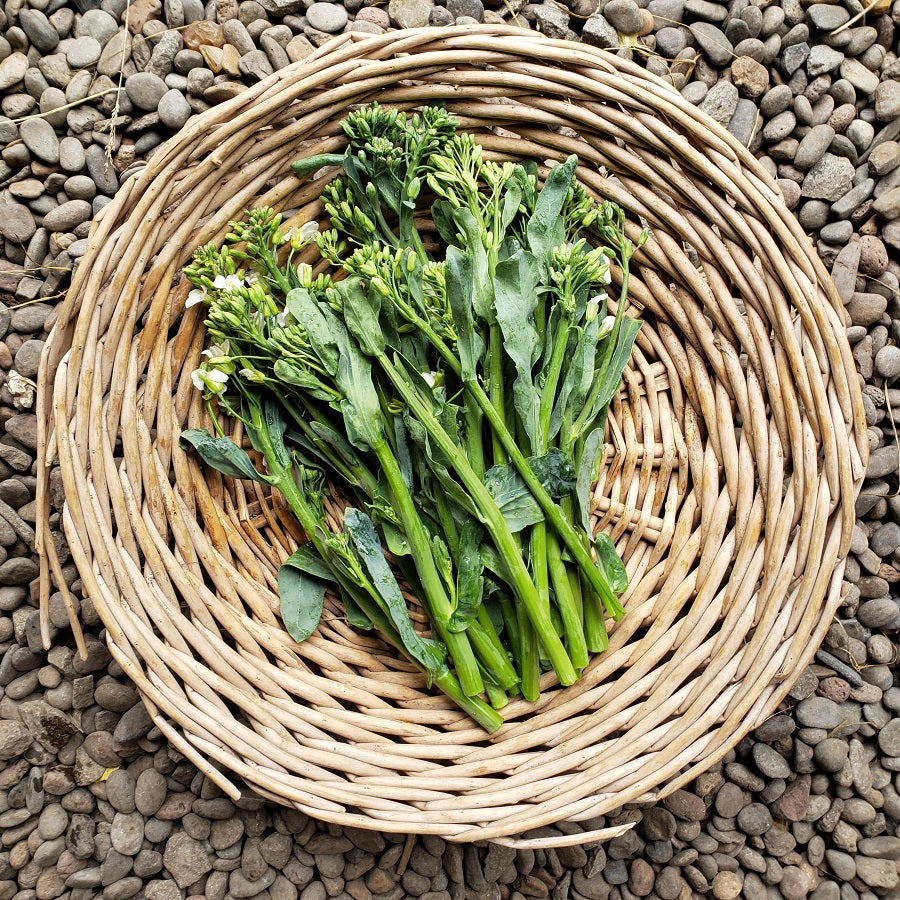 Gai Lan