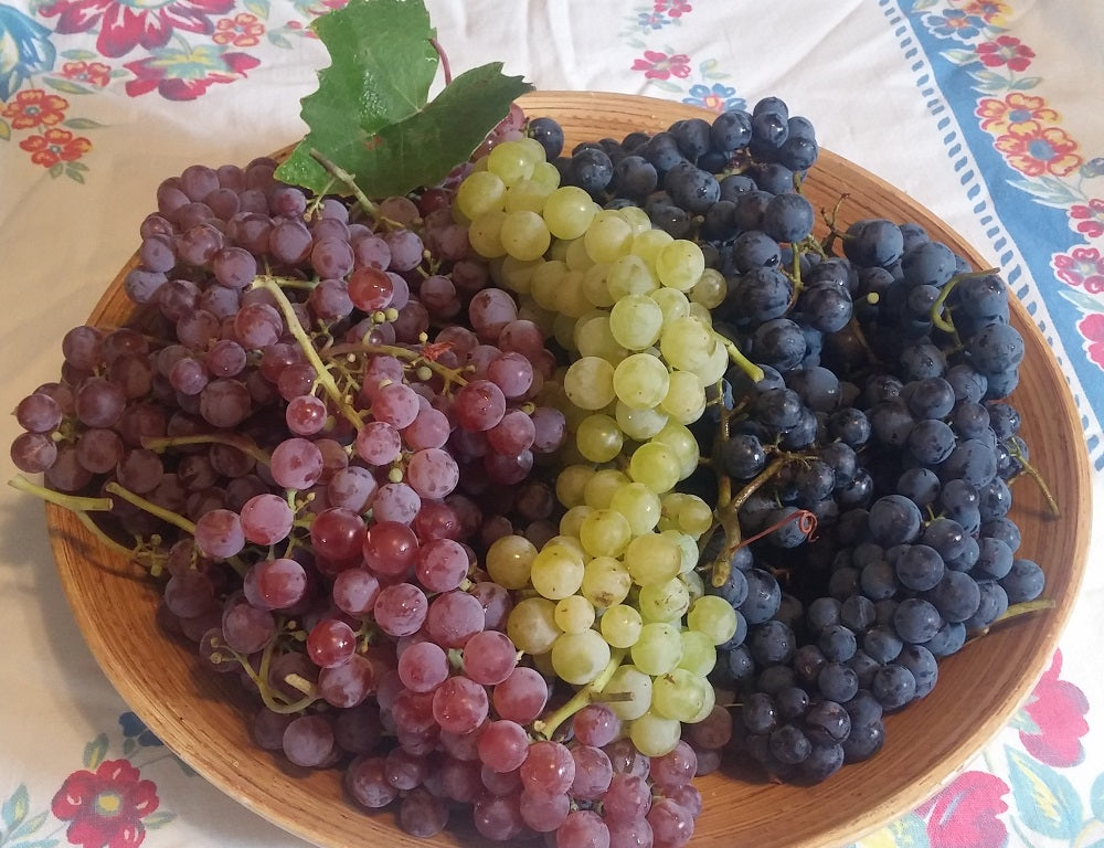 عنب أخضر بدون بذور
