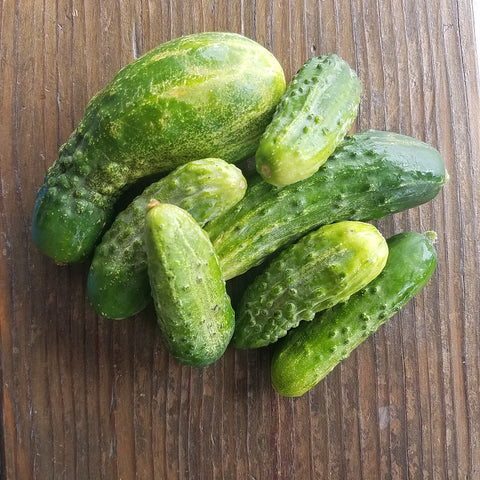 Cucumbers, Pickling