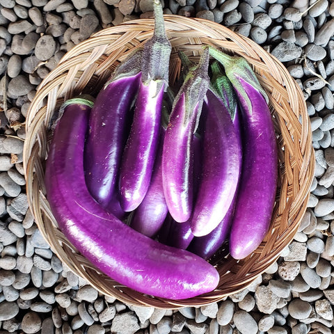 Eggplant, Taiwanese