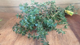 Herbs, Thyme