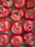 X-C&P Tomatoes