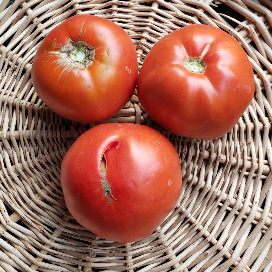 Tomatoes, Red Slicer